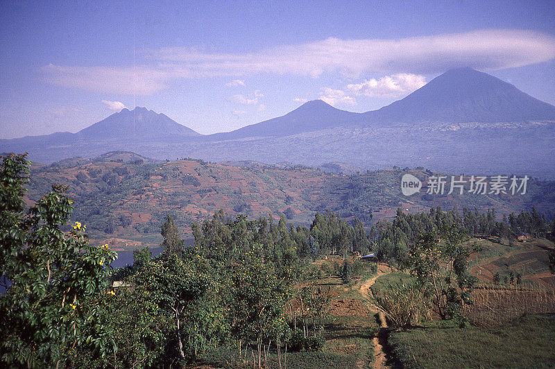 维龙加山脉火山Sabyinyo Gahinga Muhabura卢旺达中非